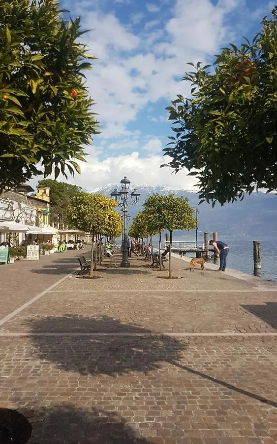 Apartment Al Lago Da Lilly Gargnano Italy